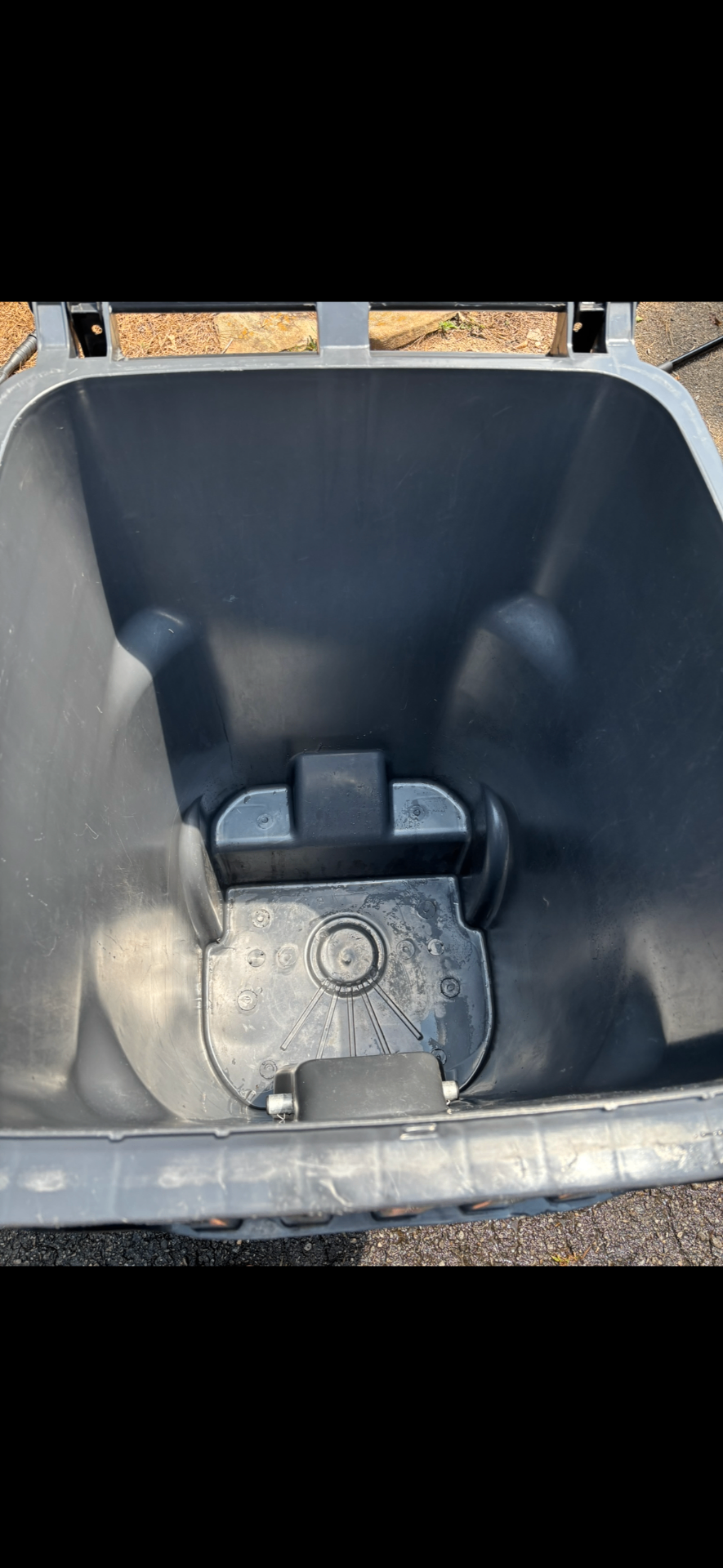 Same trash bin interior spotless after a hot-water clean